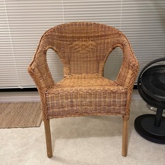 イケア　アーゲン ラタンチェア IKEA AGENの画像