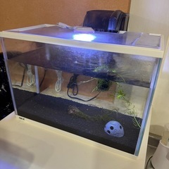 水槽セット