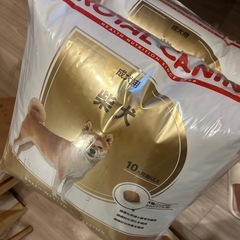ロイヤルカナン柴犬成犬用8キロの画像