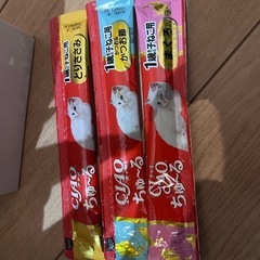 チュール32本　子猫用