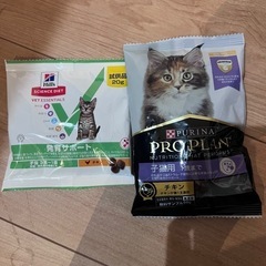 サンプル