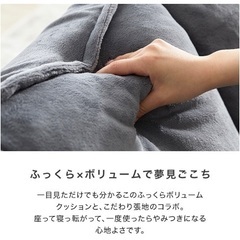 LOWYAベッドソファ売りますの画像