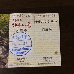 ナガシマスパーランド入場券湯あみの島入館券 　 の画像