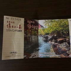 ナガシマスパーランド入場券湯あみの島入館券 　 の画像