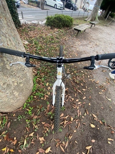 トライアル自転車 (GIN) 東所沢のその他の中古あげます・譲り