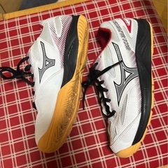 美品バドミントンシューズ (じゃく) 牧野の靴の中古あげます