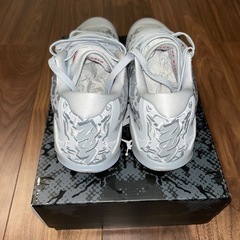 ［未使用］値下げ可　ザイオン3 Zion3 PF "Liquid Metal"バッシュ28cmの画像