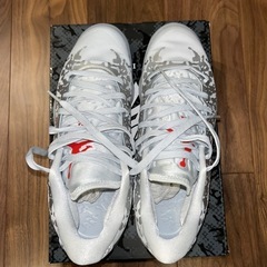［未使用］値下げ可　ザイオン3 Zion3 PF "Liquid Metal"バッシュ28cmの画像