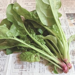 ほうれん草150g