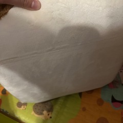 セルタン 座椅子 食パン ノーマルタイプ 低反発 リクライニング 日本製 PN1a-14段-359WH515BE516BRの画像