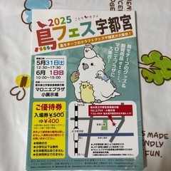 鳥フェス