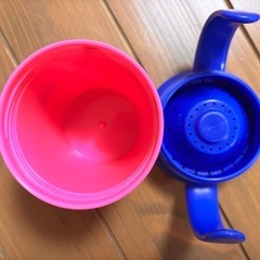 マンチキン＊ミラクルカップの画像
