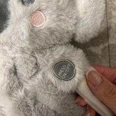 【心音などの音あり】コアラぬいぐるみの画像