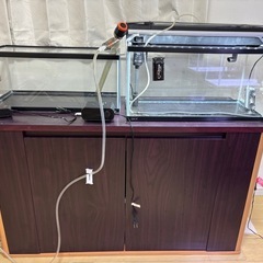 60cm水槽×2　水槽台セット