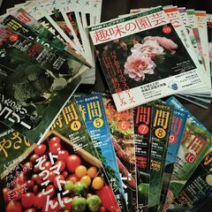 26冊　やさいの時間　趣味の園芸　ビギナーズ　NHK　テレビテキスト　