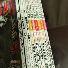 26冊　やさいの時間　趣味の園芸　ビギナーズ　NHK　テレビテキスト　の画像