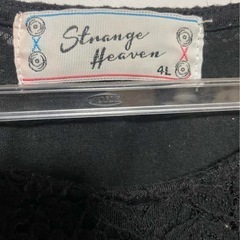 4Ｌチュニックの画像