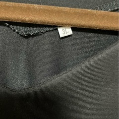 3Ｌチュニックの画像