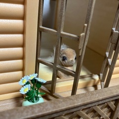 【おまけ付き】シルバニアファミリー ぶどうの森のお家の画像