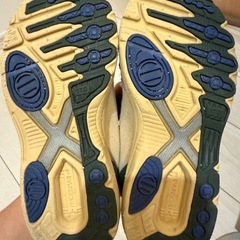 　瞬足17cmの画像