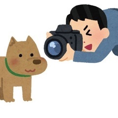 学生映画に出演してくれるワンちゃんを募集します（再掲）