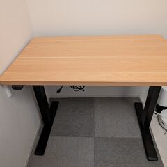 FLEXISPOT EG1 電動昇降デスク 100*60