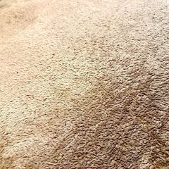 ふわふわカーペット【ニトリ】20mmウレタン入り 保温+吸湿発熱+蓄熱+防音＋蓄熱ラグ(Nウォーム-SP BE s 185X185 MX06)の画像