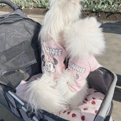 犬友募集中🎀 𓂃 𓈒𓏸 - 千葉市