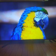 SONY BRAVIA KJ-55x8550G②
