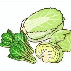 余ったり、いらない野菜ください😭