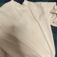 【断捨離】袖くしゃっが可愛い🧡丈短めの生地厚めの半袖の画像