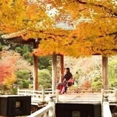 王 霄峰(わんしゃおふぉん)二胡教室の画像