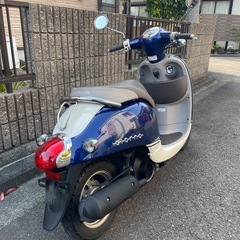 ホンダ　ジョルノ　AF70 バイク　スクーター　原付　今治市 の画像
