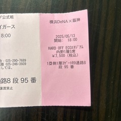横浜DeNA vs 阪神　新潟エコスタの画像