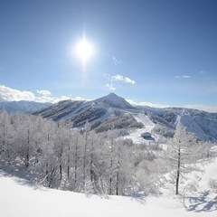 4月27日に群馬県たんばらスキー場に滑りに行きませんか？ - 熊谷市