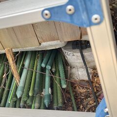 園芸用の支柱　30本残ｌの画像