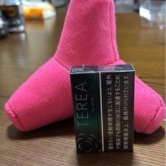 テトぐるみ等！