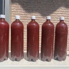PSB 光合成細菌②　1.5ℓ