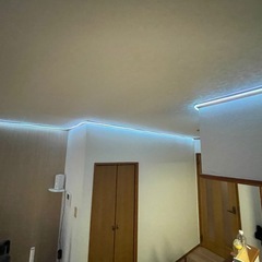 最終お値下げ！！大特価
LED テープライト30メートルの画像