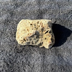 穴あき石　鑑賞用穴あき石　水槽用穴あき石　水槽用オブジェの画像