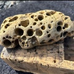 穴あき石　鑑賞用穴あき石　水槽用穴あき石　水槽用オブジェの画像