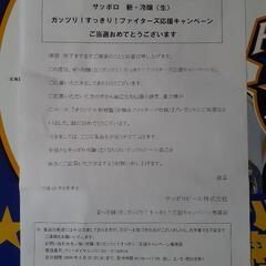 【決まりました】日本ハムファイターズ野球盤の画像