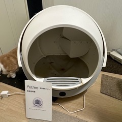 猫自動トイレ