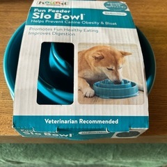 犬用　早食い防止　皿　新品未使用