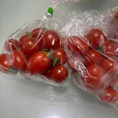 ミニトマト🍅