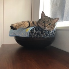 アラフォー・アラフィフ女性のお友達を探しています。