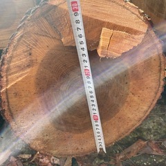 薪用　
丸太　カットした物10個の画像