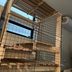 収納棚やうさぎタワーに
