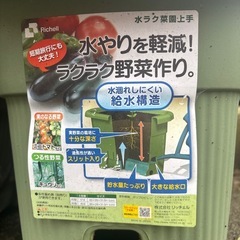ミョウガの画像