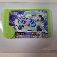 新品　ポケモンフレンダ　テラパゴス
